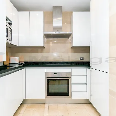 Apartment Inmalaga Nueva 3